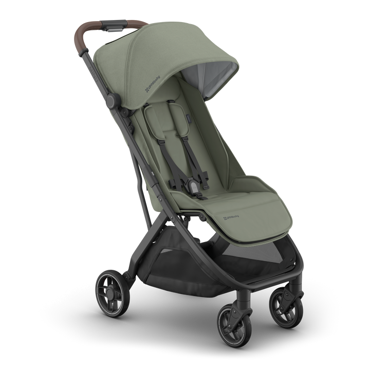 UPPAbaby MINU V3 Evelyn 5