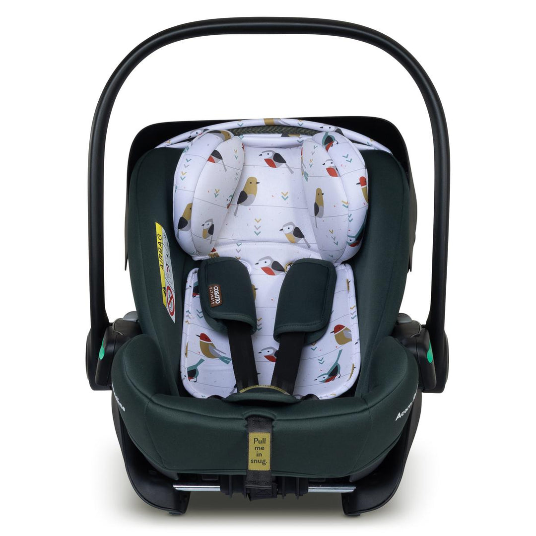 Cosatto Acorn Recline i-Size 0+ Car Seat, Bureau