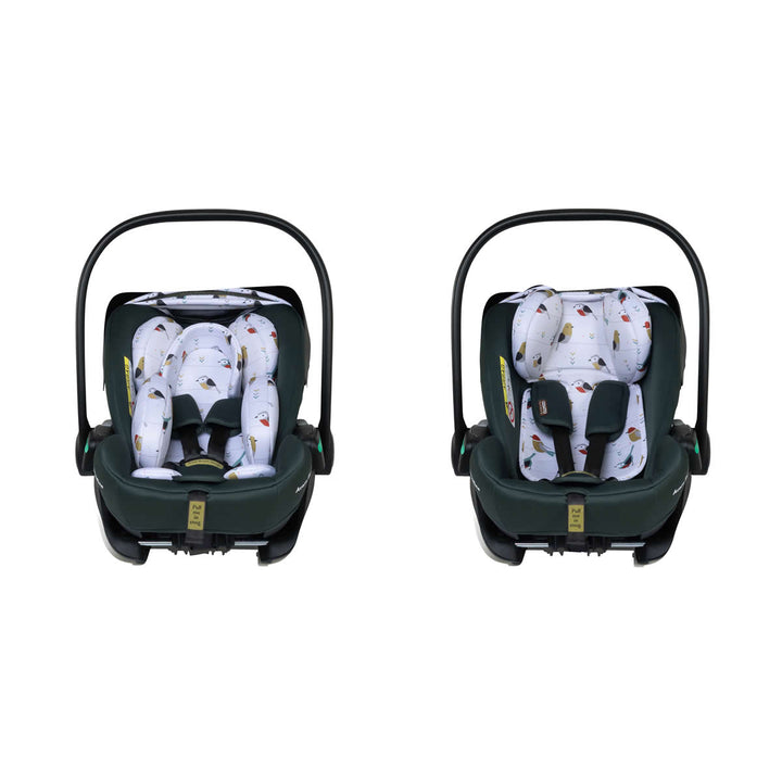 Cosatto Acorn Recline i-Size 0+ Car Seat, Bureau