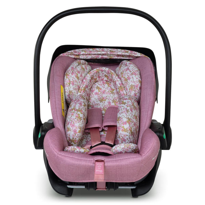 Cosatto Acorn Recline i-Size 0+ Car Seat, Camille