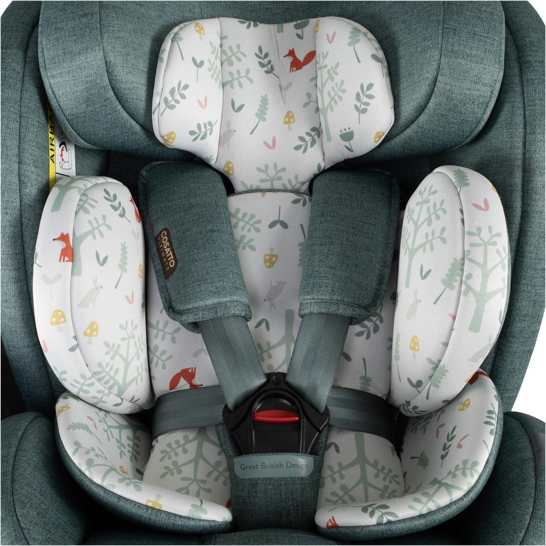 Cosatto All in All Extra i-Size 360 Car Seat, Meadow