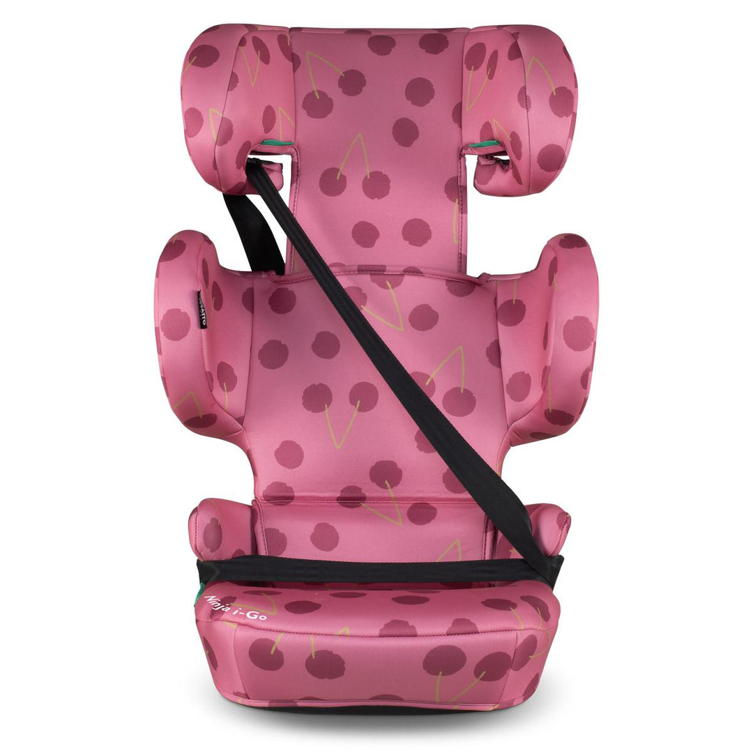 Cosatto Ninja i-Go R129 Travel Car Seat, Cherry Pie