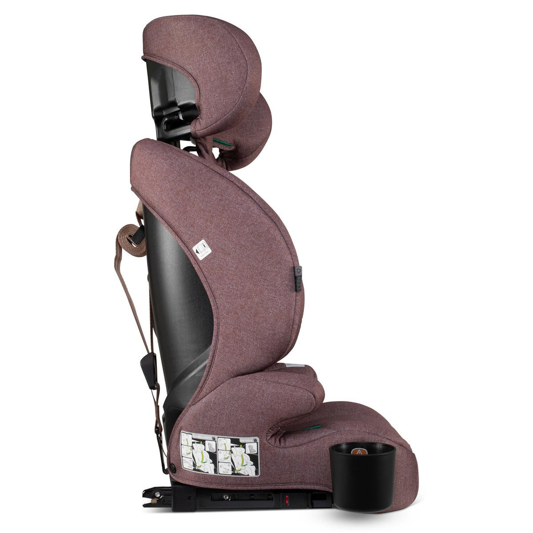 Cosatto Zoomi 3 i-size Group 123 Car seat, Bear Hug
