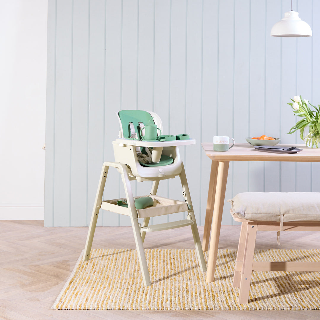 Tutti Bambini Nova High Chair Accessory Pack Basil 2