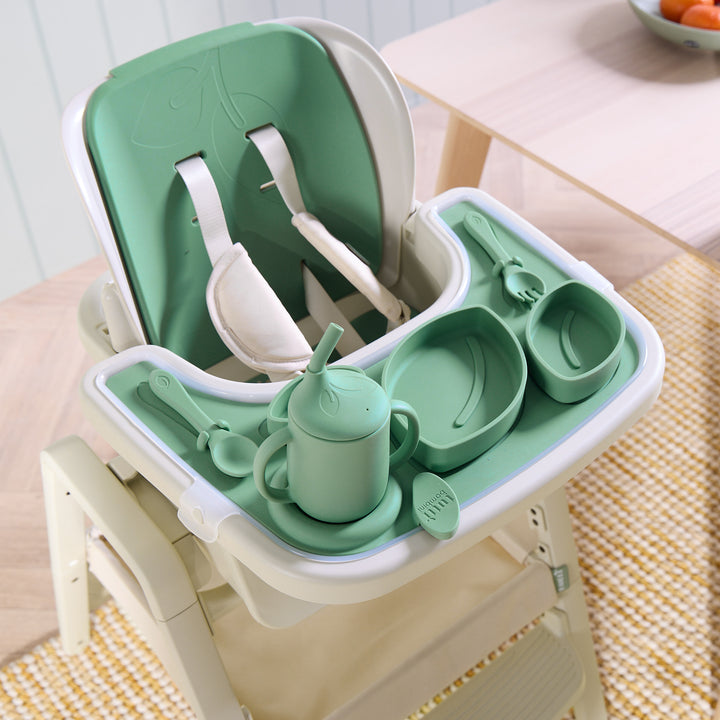 Tutti Bambini Nova High Chair Accessory Pack Basil 6