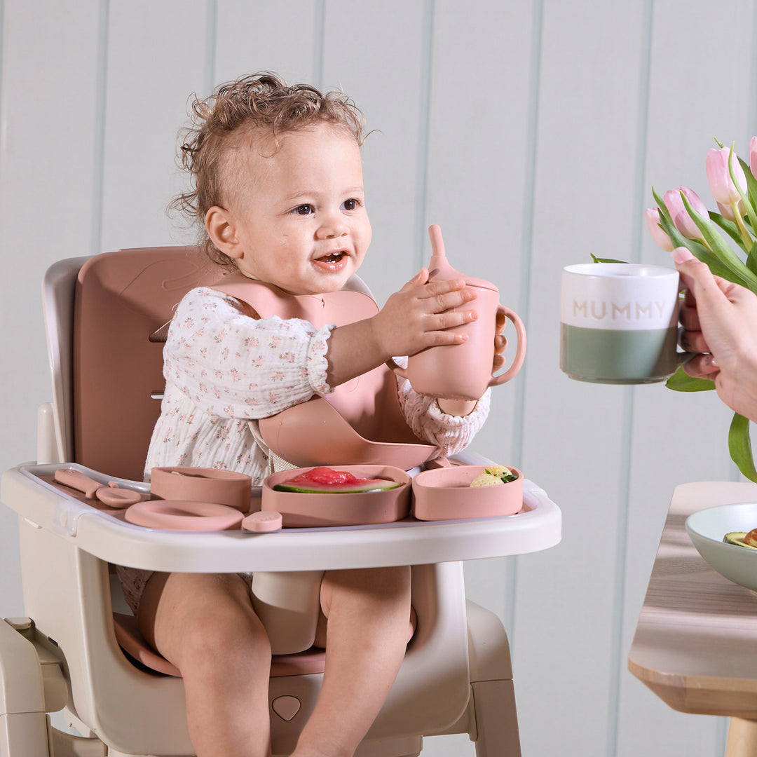 Tutti Bambini Nova High Chair Accessory Pack Cameo 4