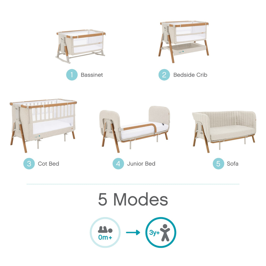 Tutti Bambini CoZee XL Scandinavian Walnut/Ecru Infographic