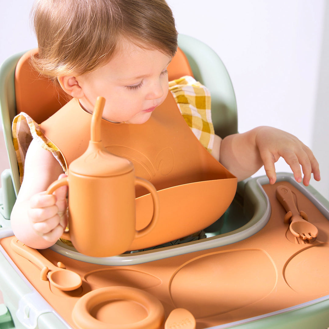 Tutti Bambini Nova High Chair Accessory Pack Ginger 3