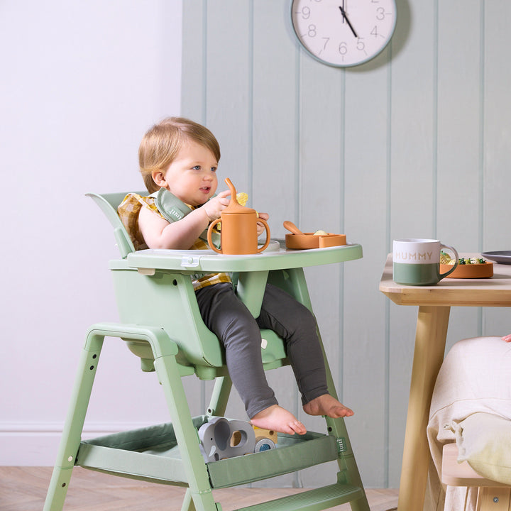 Tutti Bambini Nova High Chair Accessory Pack Ginger 5