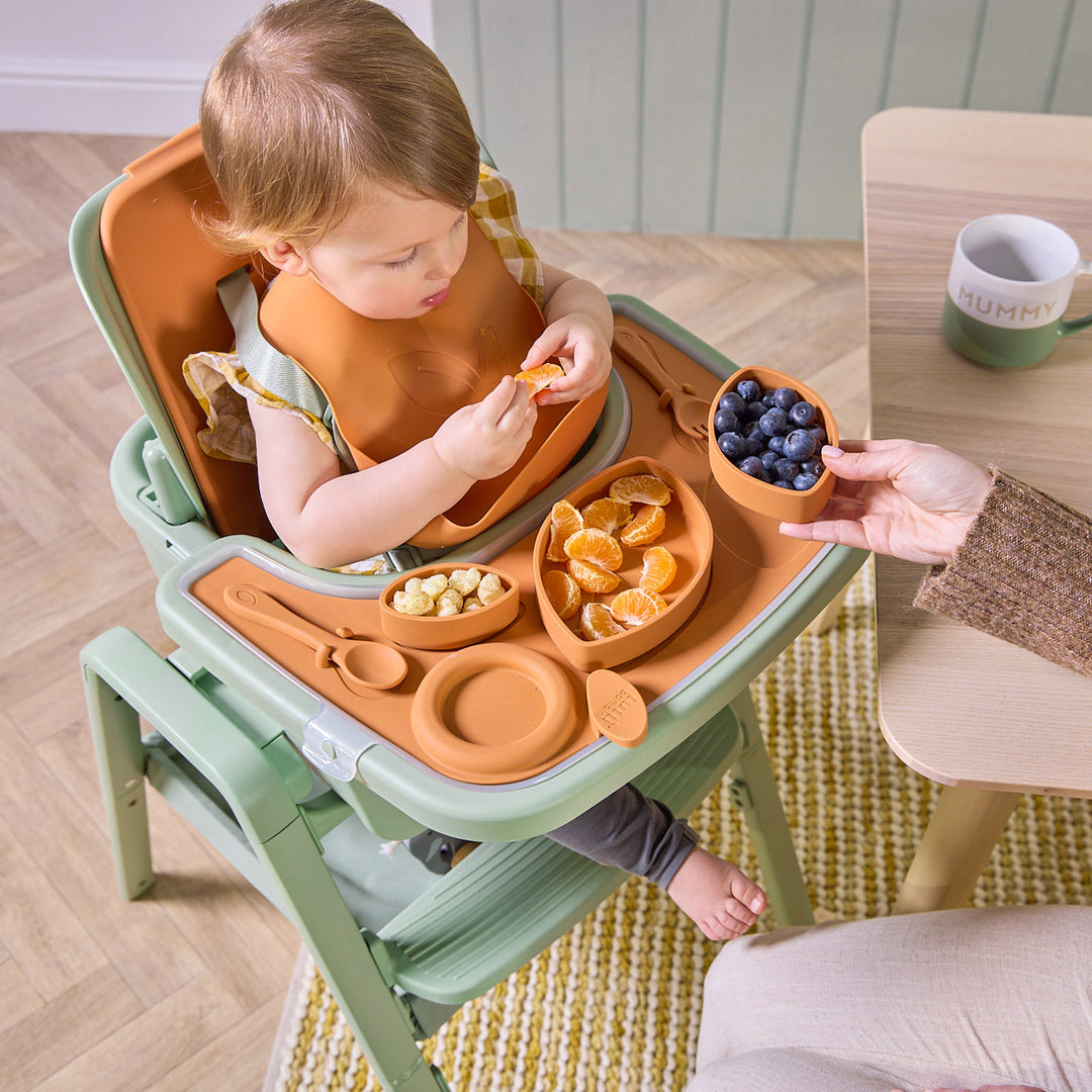 Tutti Bambini Nova High Chair Accessory Pack Ginger 6