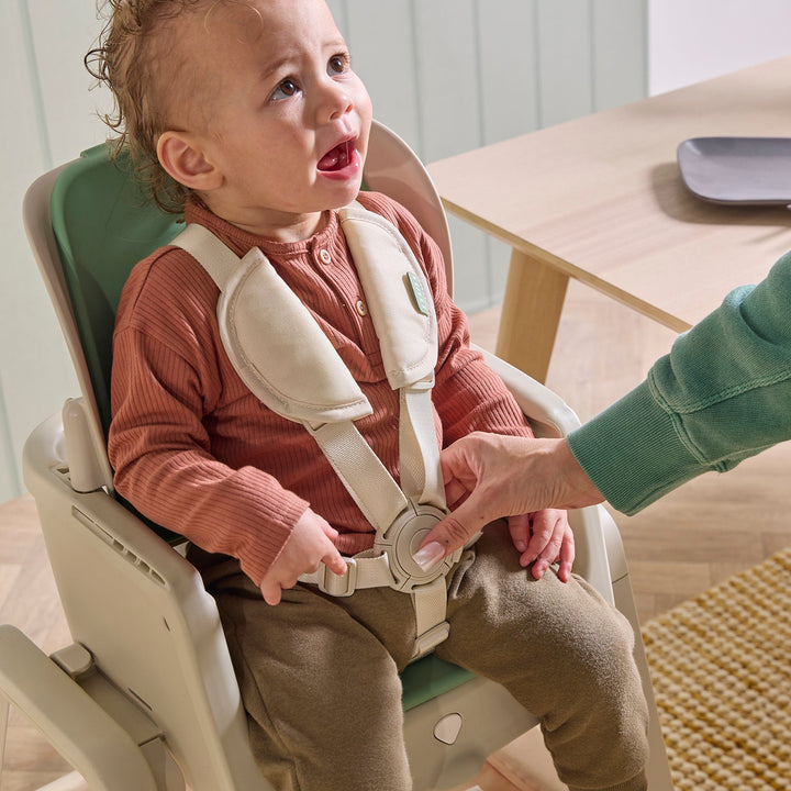 Tutti Bambini Nova Maison Highchair & Accessory Pack Parsnip/Rusk 1