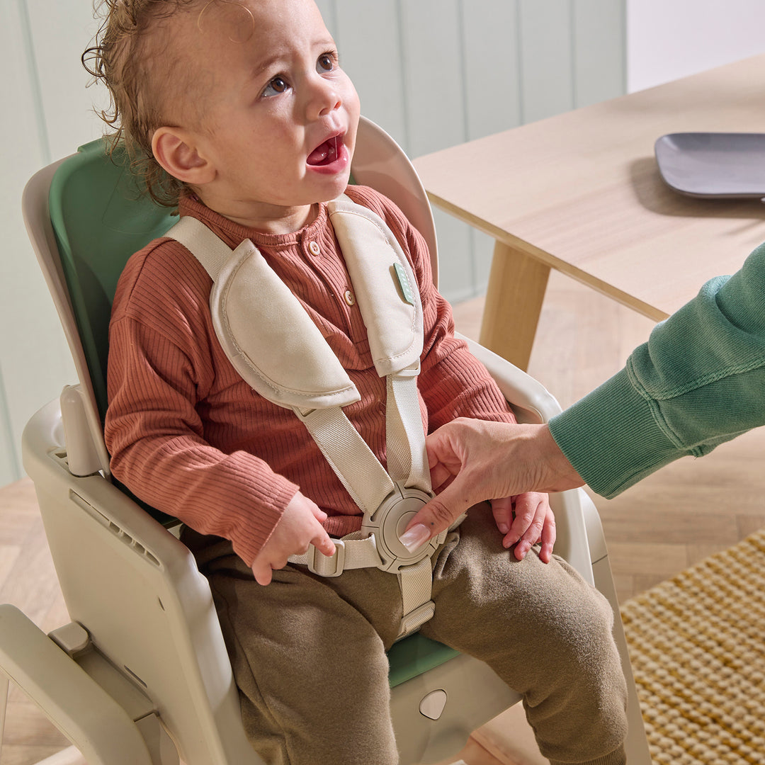 Tutti Bambini Nova Maison 7 in 1 Highchair Parsnip 1