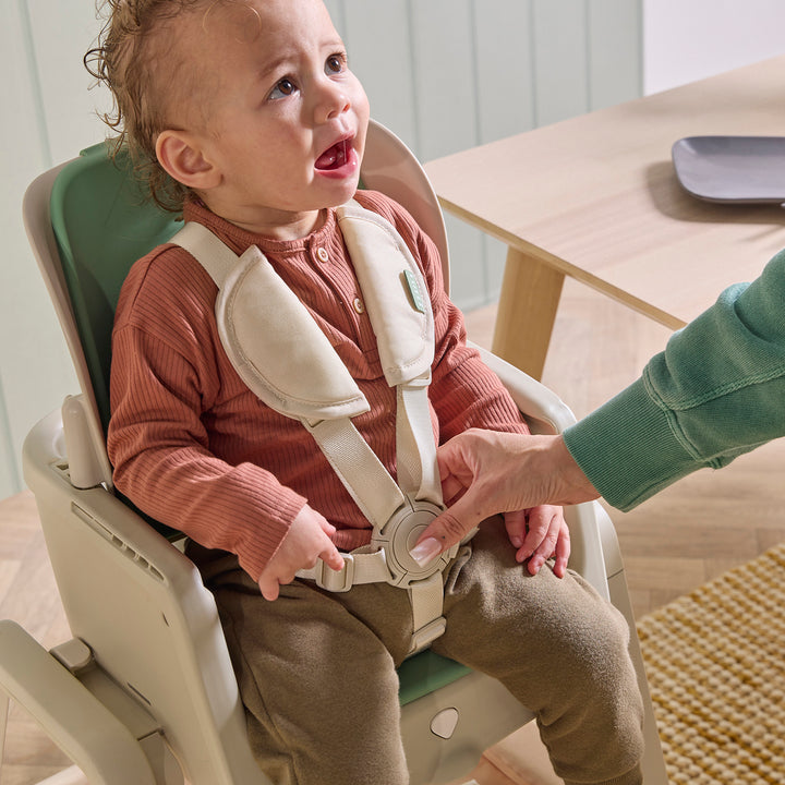 Tutti Bambini Nova Maison 7 in 1 Highchair Parsnip 1