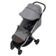 Anex IQ Premium 2 in 1 Pram Plus Lightweight Buggy, Pure Grey