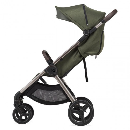 Anex IQ Premium 2 in 1 Pram Plus Lightweight Buggy, Richi Green