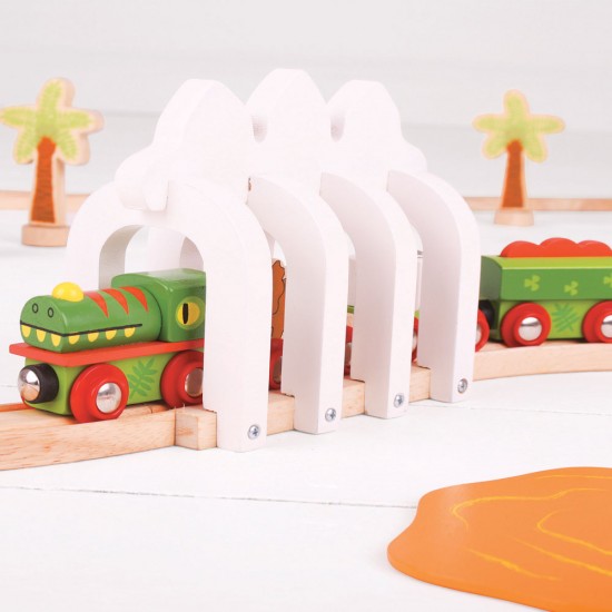 Bigjigs Dinosaur Train