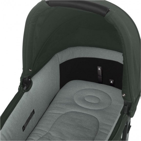 Jane Sweet Carrycot, Botanic