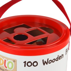 Tidlo 100 Wooden Blocks