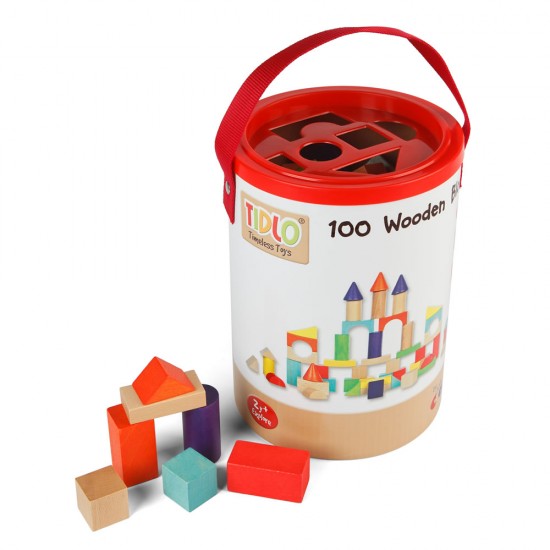 Tidlo 100 Wooden Blocks