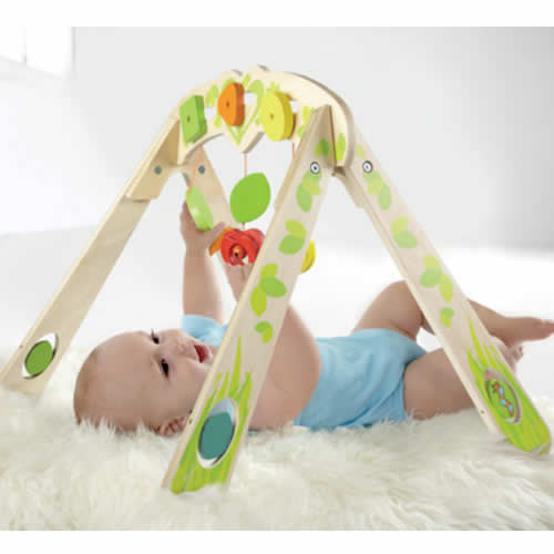 hape play gym